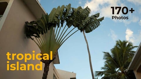 Tropical Island -  References For Artists
