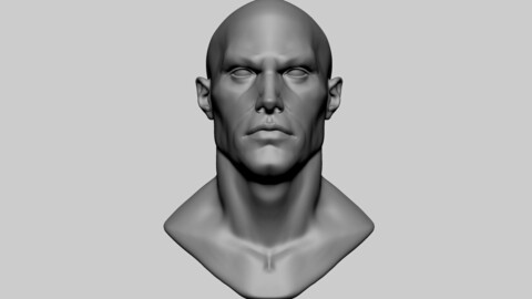 Stylized Male Head