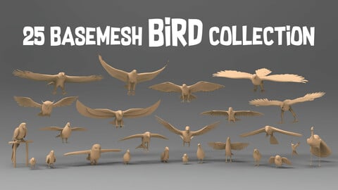 25 Basemesh bird collection