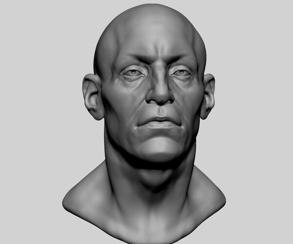 ArtStation - Male Head Anatomy | Resources