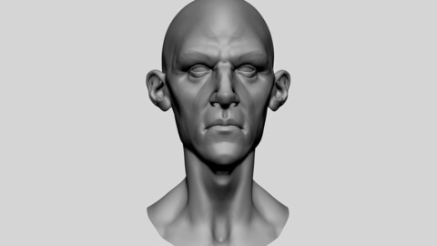 Stylized Male Head 02