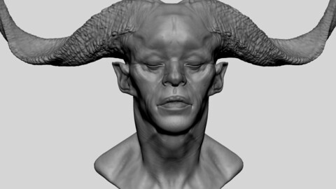 Fantasy Creature Head 08