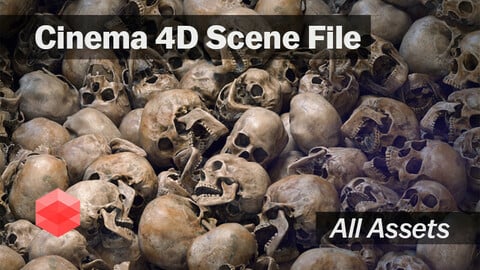 Skulls Animation Cinema 4D Scene File