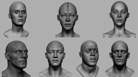 Male Female Head Collection