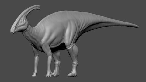 Dinosaur Basemesh 05