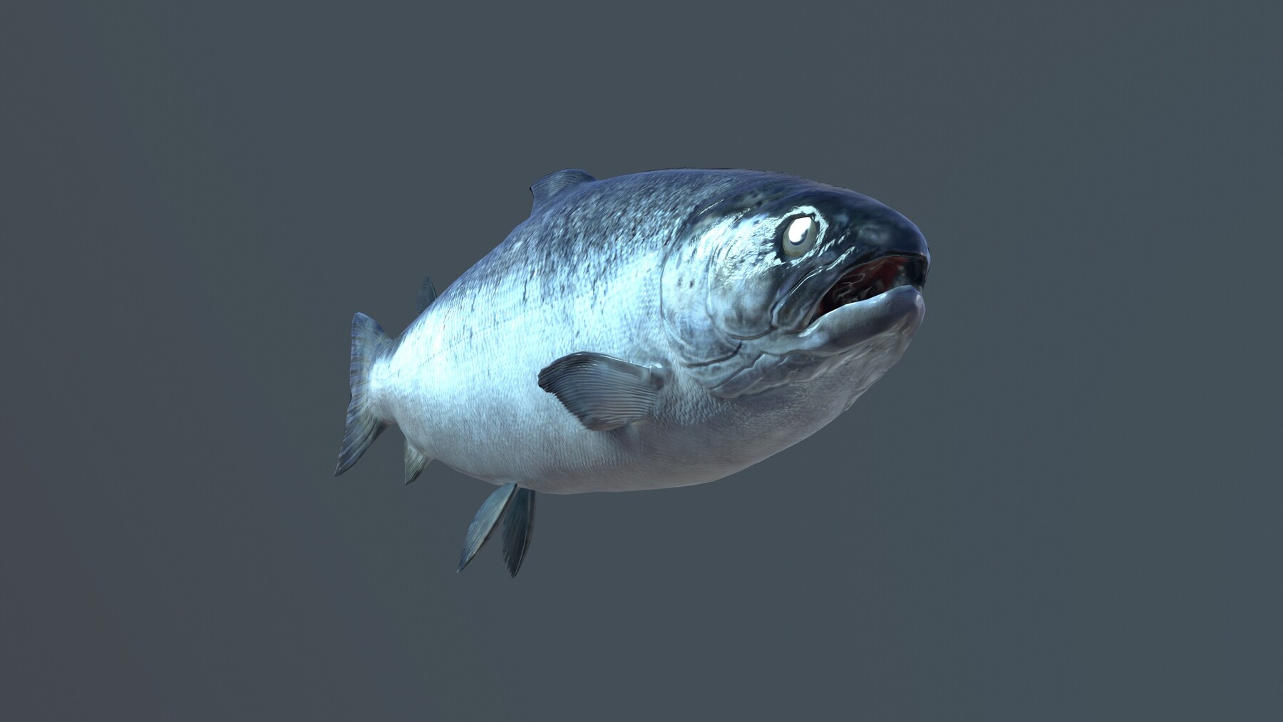 ArtStation - Salmon Fish