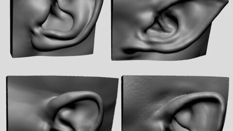 Ear Models