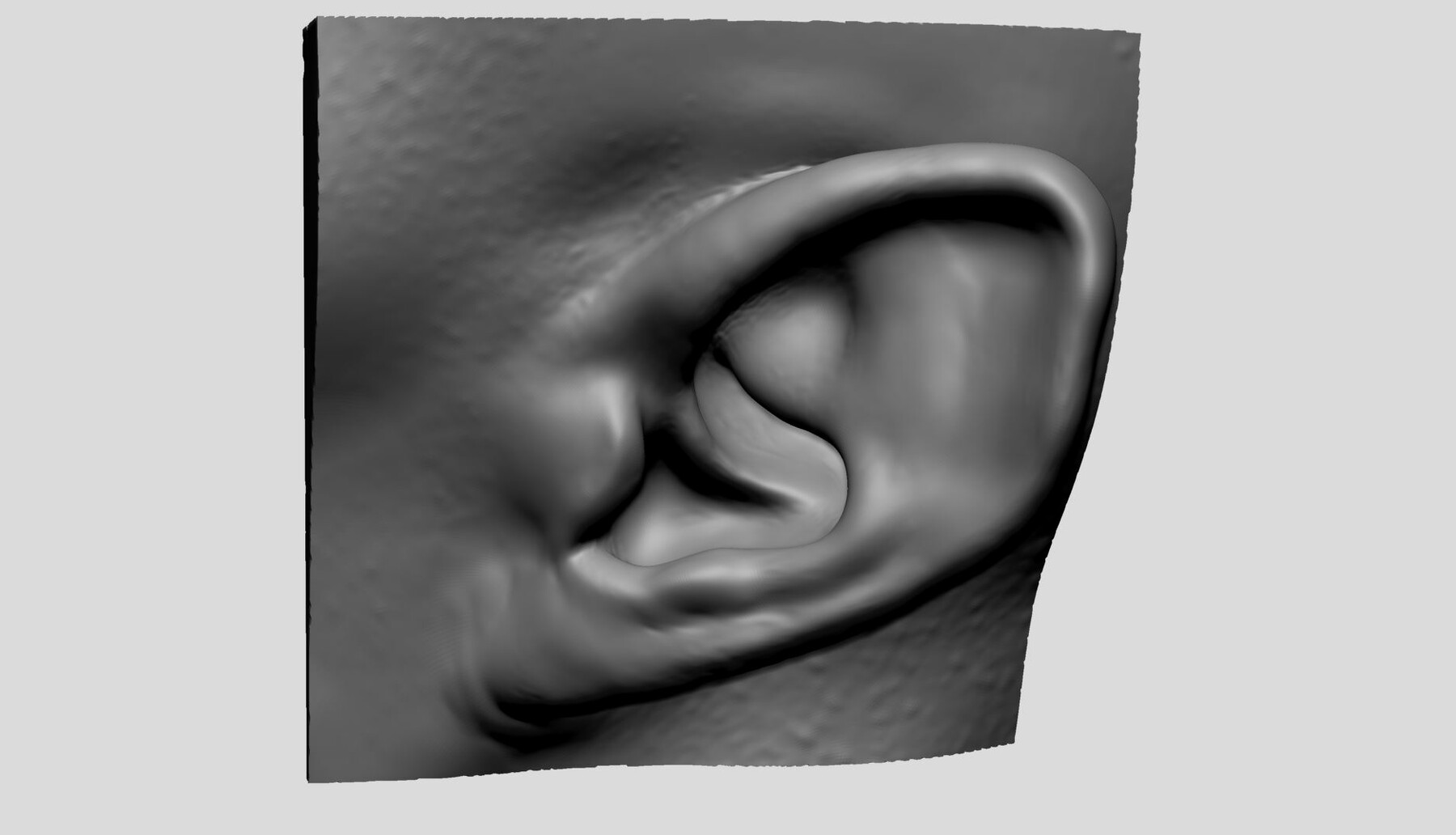 ArtStation - Ear Models | Resources