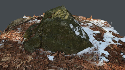 Rock_0024(Photogrametry.Photoscan.obj,Photo)