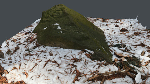 Rock_0027(Photogrametry.Photoscan.obj,Photo)