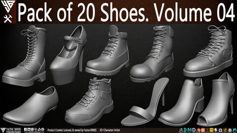 Pack of 20 Shoes Volume 04