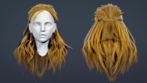 Character - Real Time Female Long Hair 01