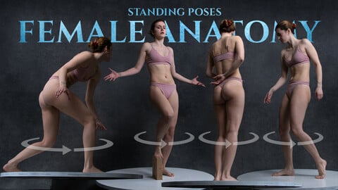 Female Anatomy- Standing Turnaround Poses- Photo Reference Pack- 855 JPEGs