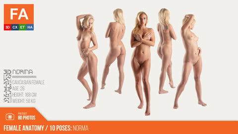 Female Anatomy | Norma 10  Various Poses | 80 Photos