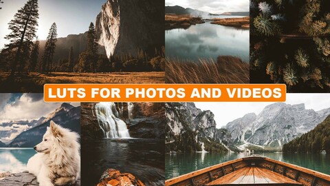 Cinematic LUTs for Affinity Photo / Photoshop / Adobe Premiere Pro / Final Cut Pro X / LumaFusion / After Effects and More