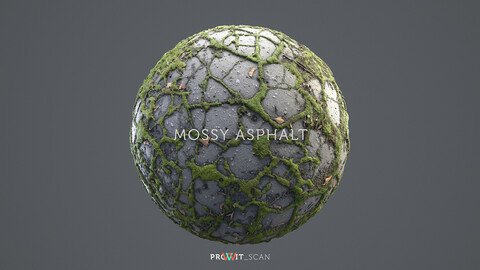 Mossy Asphalt PBR Material (2 in 1)