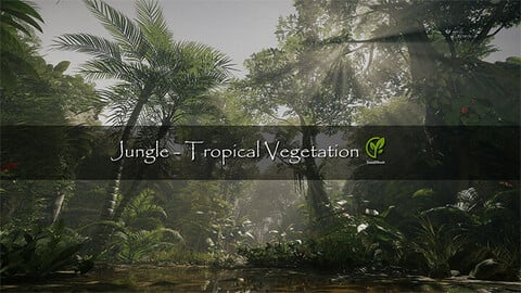 Jungle - Tropical Vegetation (Unity Package)