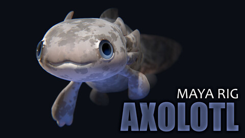 Axolotl Maya Rig