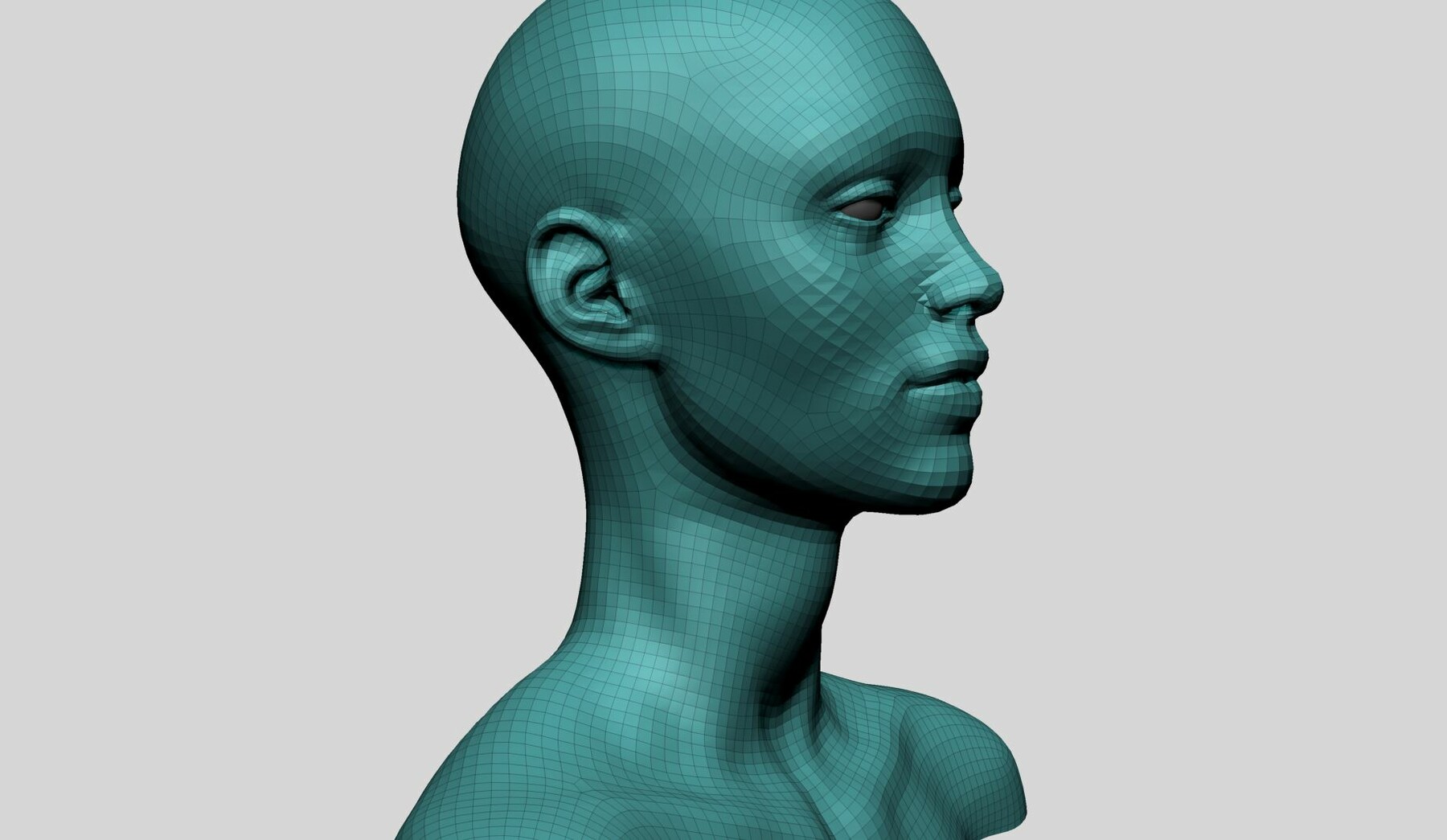 ArtStation - Female Head Basemesh | Resources