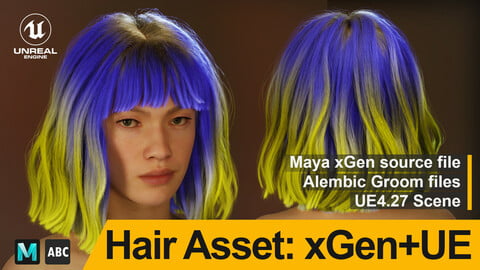 Metahuman Hair - Maya xGen & UE Alembic groom - Female Wavy Bob