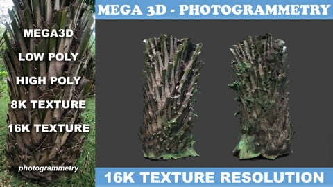 Low poly Oil Palm Trunk 05 - Photogrammetry