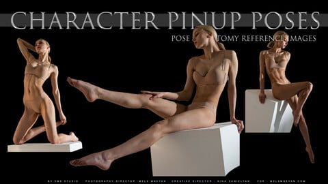 PINUP CHARACTER  POSES REFERENCE IMAGES [525]