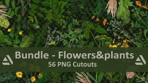PNG Photo Pack: Flowers and plants