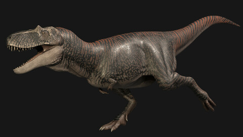 Albertosaurus Asset Pack