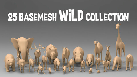 25 Basemesh wild collection