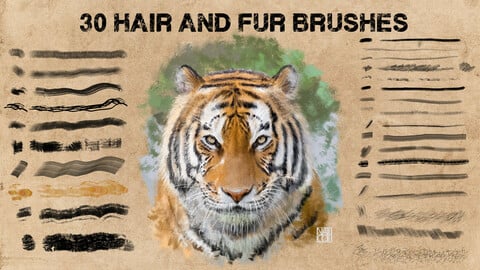 30 hair and fur brushes
