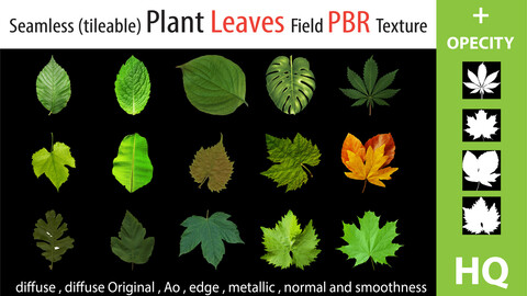 PBR LEAF PLANT materials - HQ