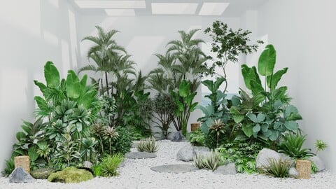 Complex of garden plants 01