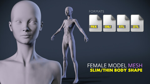 Female Body Mesh Slim Shape