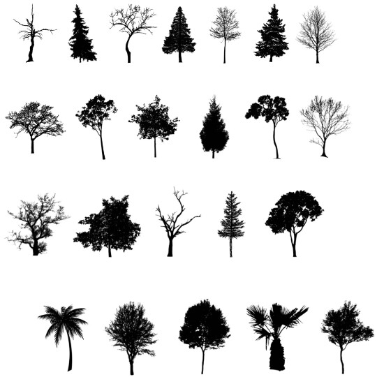 free tree stamps for procreate