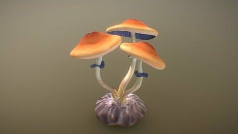 psicodelic Mushrooms - Psilocybe cubensis