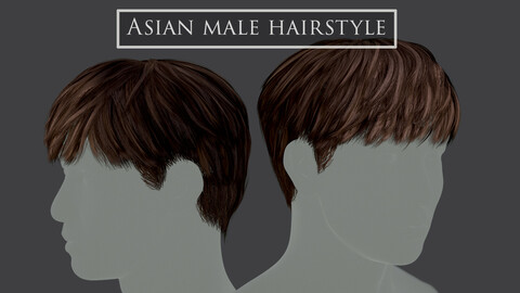 Asian male hairstyle