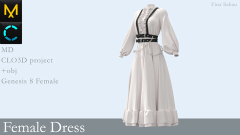 Female Dress #1. Marvelous Designer / Clo 3D project +obj