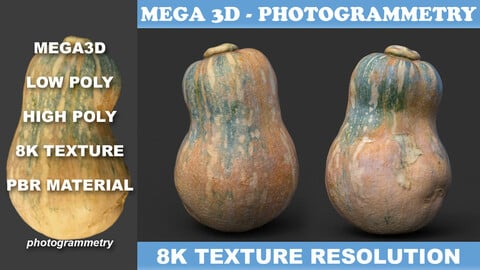 Low poly High poly Gourd 220327 - Photogrammetry