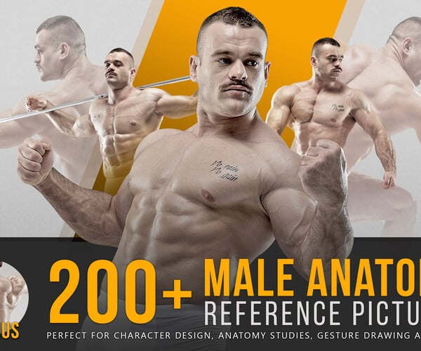 ArtStation - 200+ Male Anatomy Reference Pictures | Resources