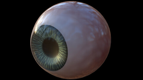 Procedural Eye Shader Blender 3.0+