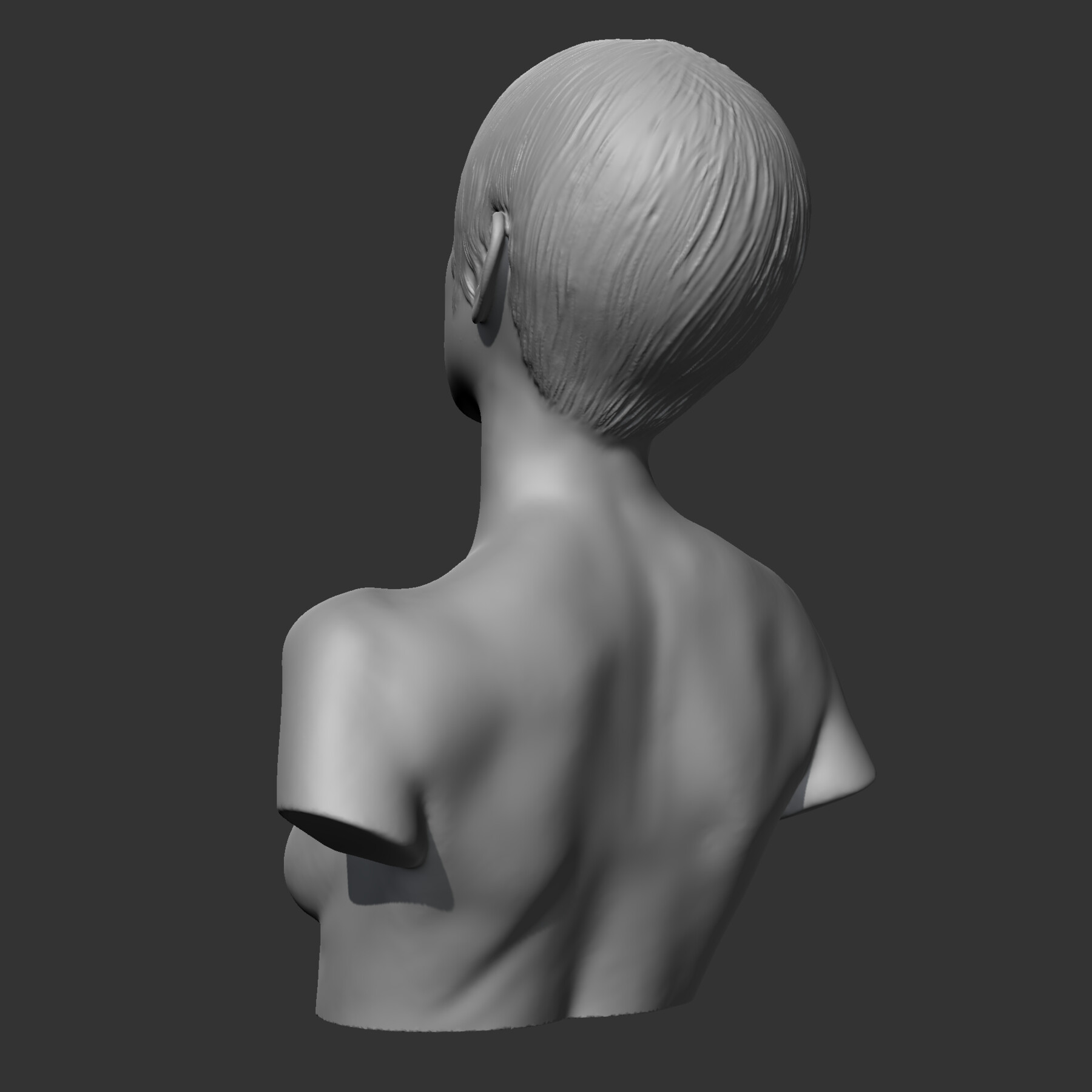 Bust 3d model