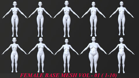 10 FEMALE BASE MESH 1-10