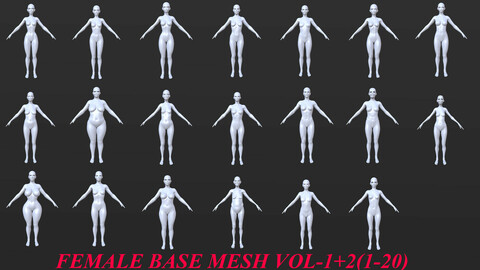 20 FEMALE BASE MESH 1-20