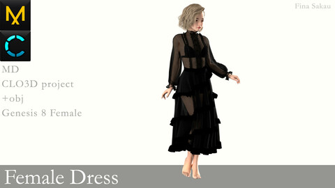 Female Dress #2. Marvelous Designer / Clo 3D project +obj