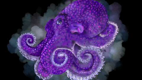 Octopus - Purple