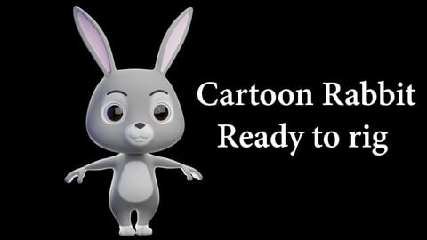 Cartoon Rabbit - READY TO RIG