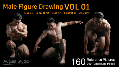Male Figure Drawing - Vol 01 -  Reference Pictures