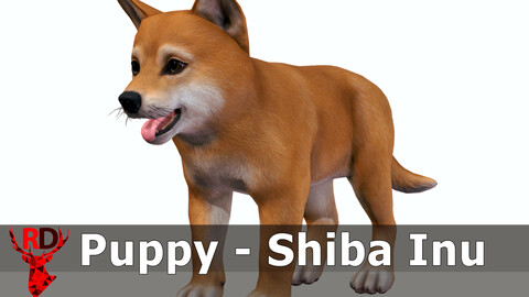 Puppy - Shiba Inu