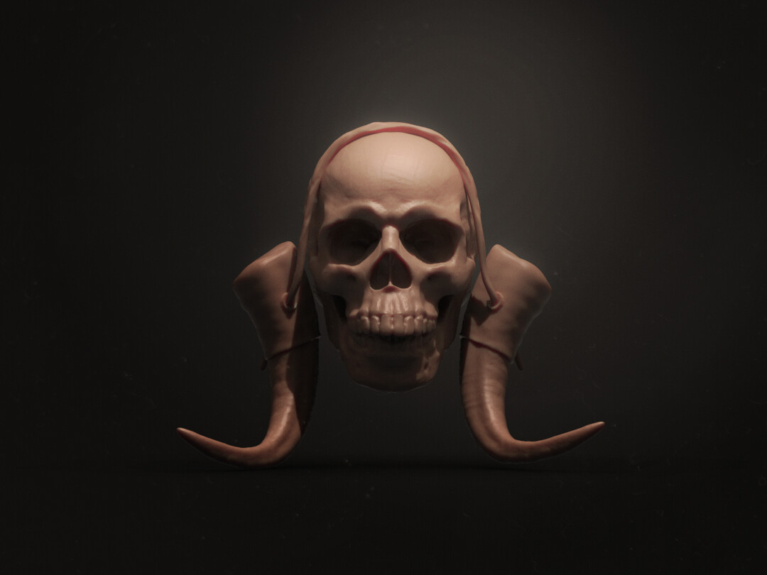 Artstation Male Skulls Resources