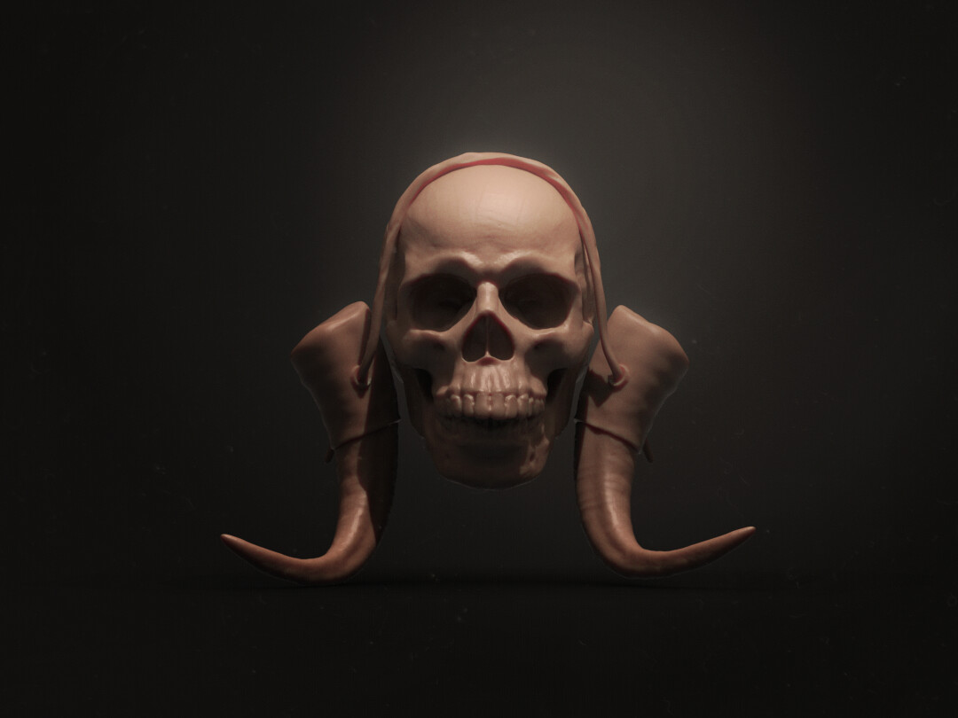 ArtStation - Male Skulls | Resources